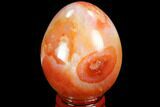 Colorful Carnelian Agate Egg - Madagascar #98522-1